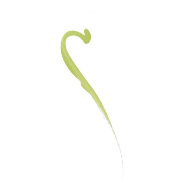 NYX VIVID BRIGHTS LINER